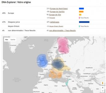 igenea-avis-resultat-ethnicite