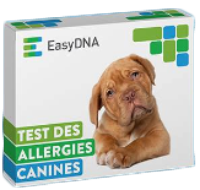 EasyDNA avis test adn chin