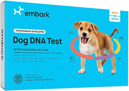 Meilleur Test ADN Pour Chien : À lire avant d'acheter (Guide)