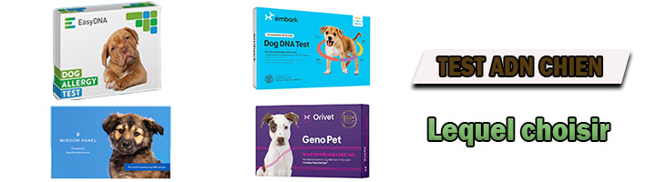 Quel test ADN pour chien choisir 