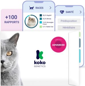 koko-genetics-test-adn-chat-advanced