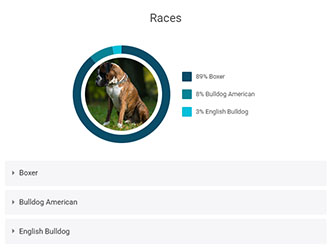 koko-genetics-avis-resultat-race-chien