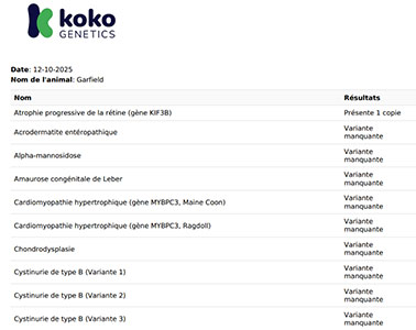 koko-genetics-avis-resultat-rapport-sante-chat