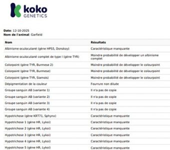 koko-genetics-avis-resultat-trait