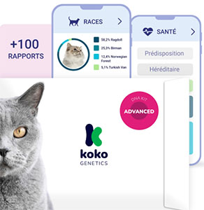 koko-genetics-avis-test-adn-chat-advanced