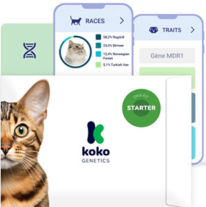 koko-genetics-avis-test-adn-chat-starter