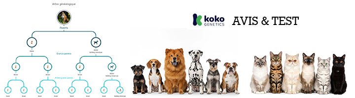 Koko Genetics avis