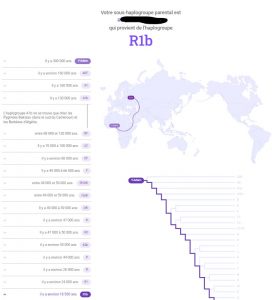 tellmegen-avis-resultat-adn-lignee-paternelle