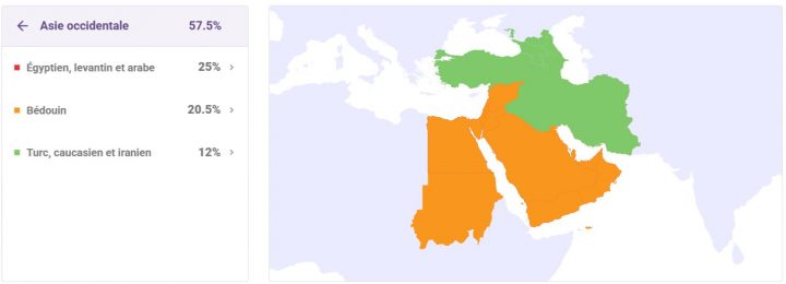 tellmegen-avis-resultat-adn-origine-asie-occidentale