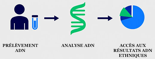 fonctionnement-test-adn-origine-ethnique